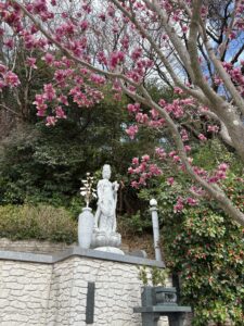 なんじゃもんじゃの木の近くに咲く花