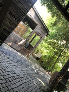 茅ヶ崎 天青 庭 石畳 自然