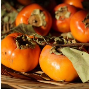 ビタミンが豊富な柿を食べて風邪予防