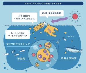 河川や沿岸部から海へプラスチックごみが流出する仕組みを示した図