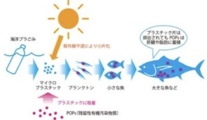 河川から海へ流出するプラスチックごみの経路を示した環境省の図