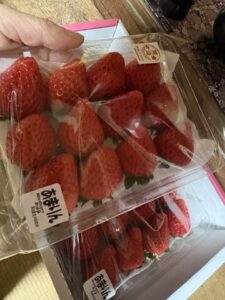 寒い場所で保存した苺が甘く感じた理由を解説する大人の苺記事